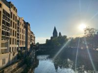 Mosel und kleine Weideninsel