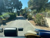 Blumenpracht in Gärten