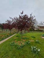 Giverny &ndash; &copy; Wolfgang Kowalewski (Eberhardt TRAVEL)