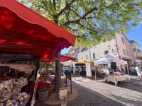 Single-Reise Südfrankreich - Ste. Maxime  &ndash; &copy; Heike Wagner (Eberhardt TRAVEL)