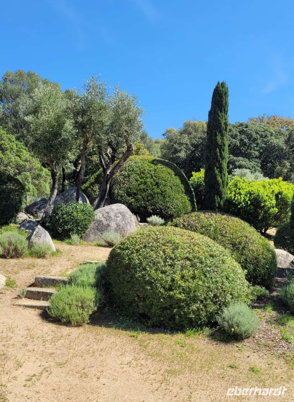 Parc de Saleccia &ndash; &copy;  (Eberhardt TRAVEL)