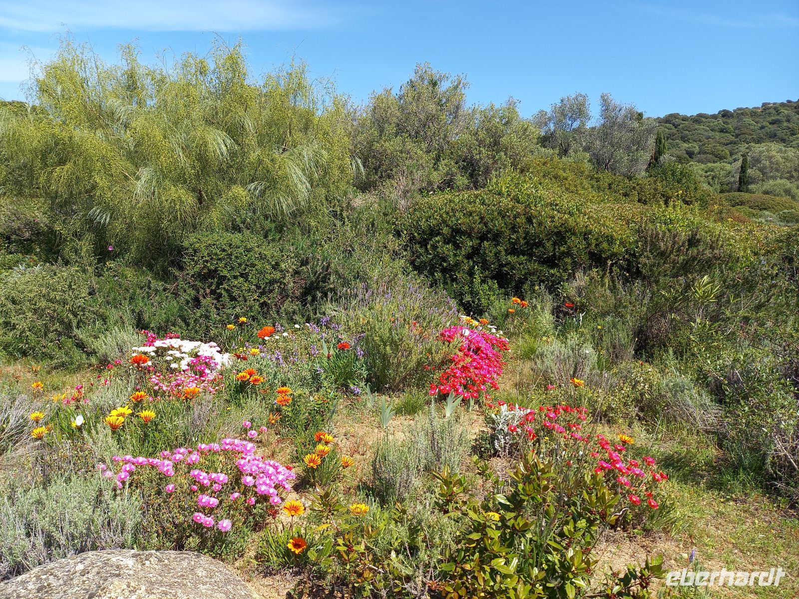 Parc de Saleccia &ndash; &copy;  (Eberhardt TRAVEL)
