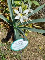 Parc de Saleccia &ndash; &copy; Franciska Bauer (Eberhardt TRAVEL)