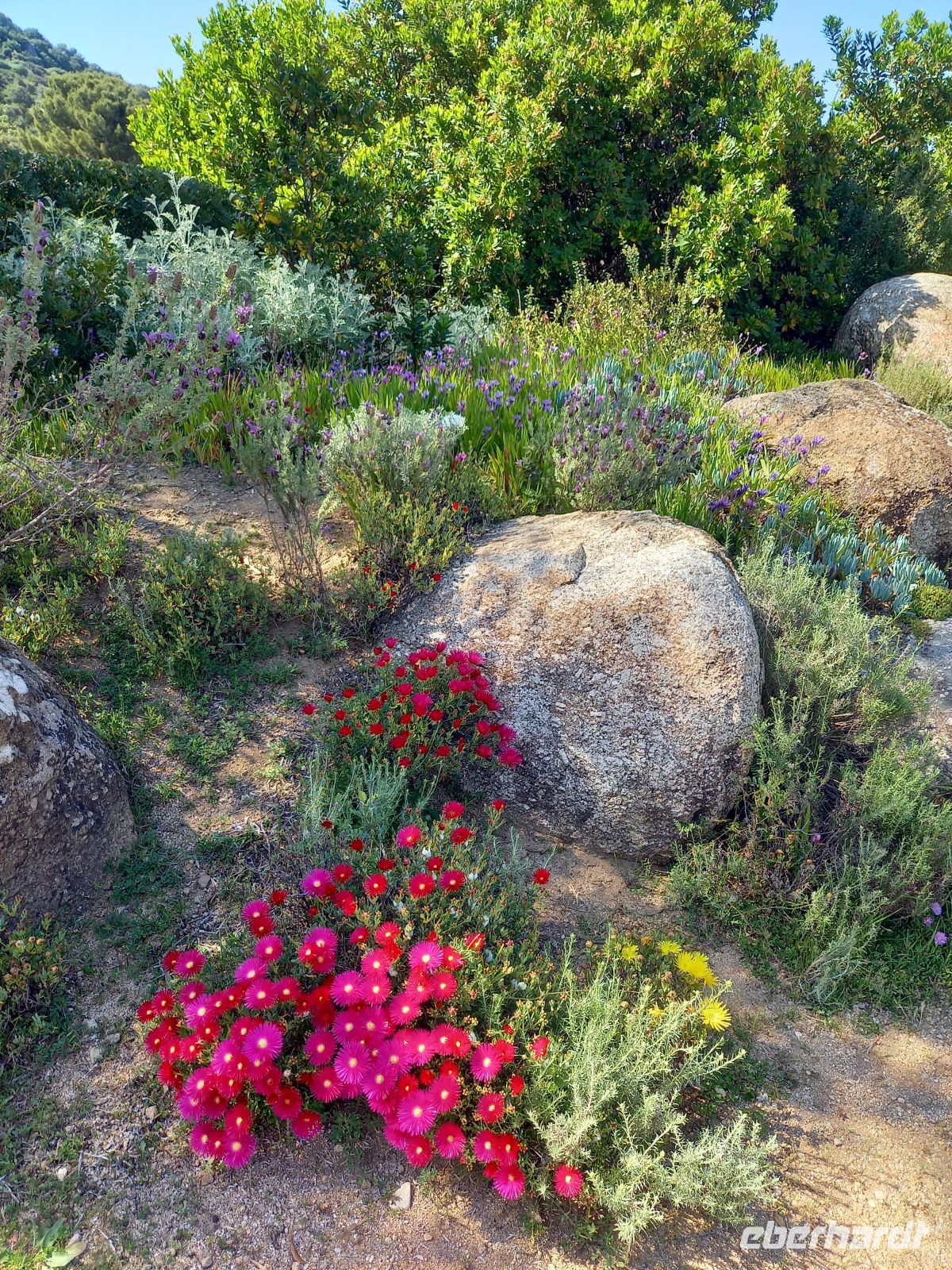 Parc de Saleccia &ndash; &copy;  (Eberhardt TRAVEL)