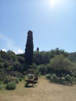 Parc de Saleccia &ndash; &copy; Franciska Bauer (Eberhardt TRAVEL)
