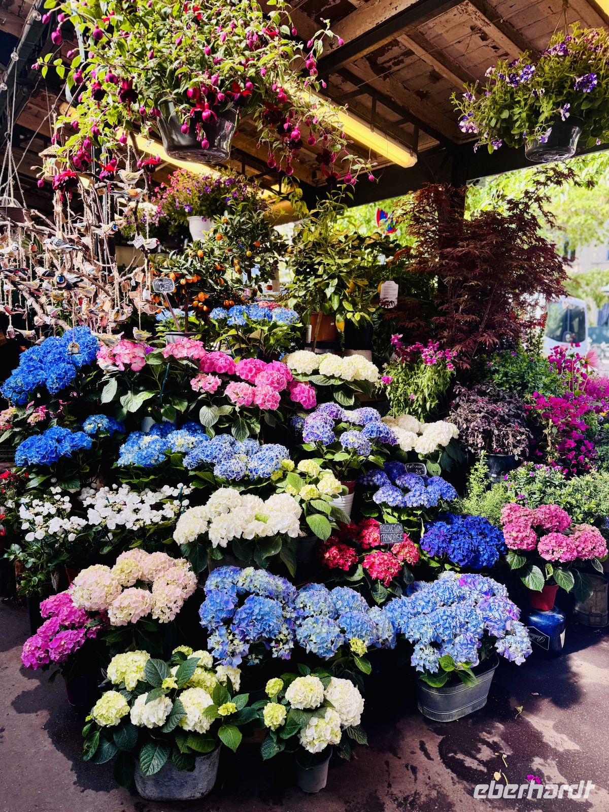 5. Tag - Blumenmarkt, Paris  &ndash; &copy;  (Eberhardt TRAVEL)
