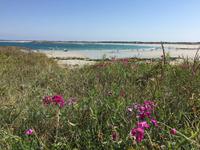 247Die Bucht