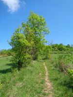 Weg zur Burg Puivert, Frankreich &ndash; &copy; Saskia Pinnow (Eberhardt TRAVEL)