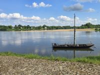 2026-05_Loire_Rad: Candes-St.-Martin - Mündung der Vienne &ndash; &copy; Dieter Braune (Eberhardt TRAVEL)