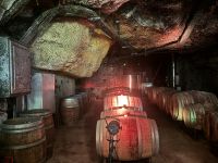 2026-05_Loire_Rad: Saumur - Caves Ackerman - Weinkeller &ndash; &copy; Dieter Braune (Eberhardt TRAVEL)
