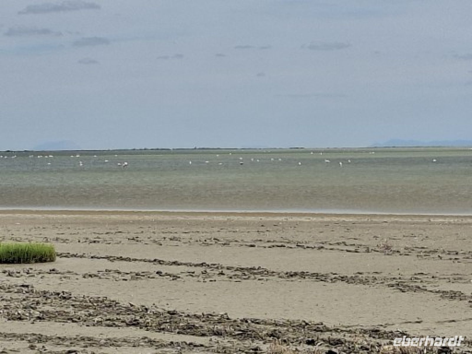 Salzschwemmland als Brutparadies für Flamingos &ndash; &copy;  (Eberhardt TRAVEL)