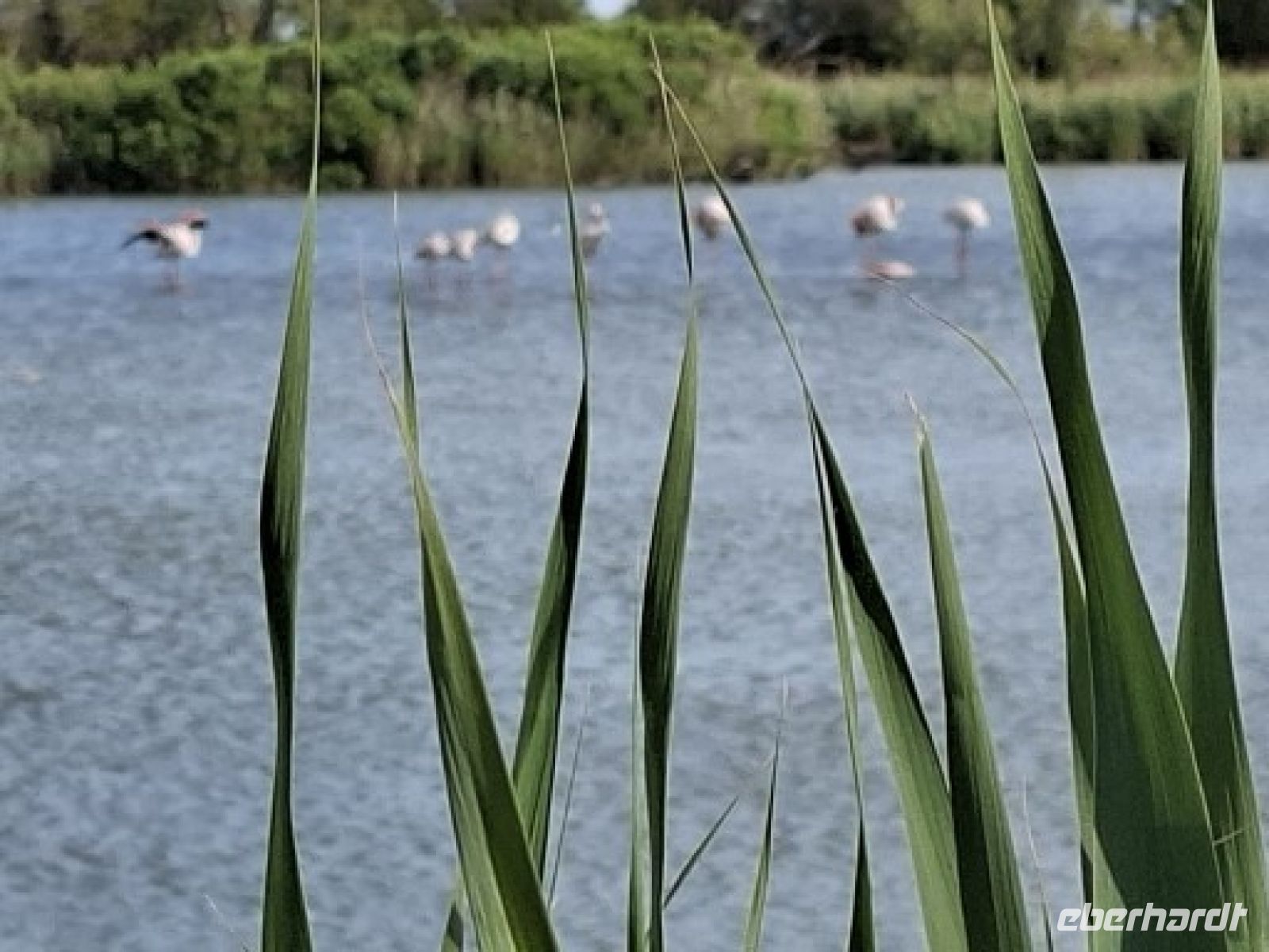geschützte Uferzonen auf dem Rundweg durch den Naturpark &ndash; &copy;  (Eberhardt TRAVEL)