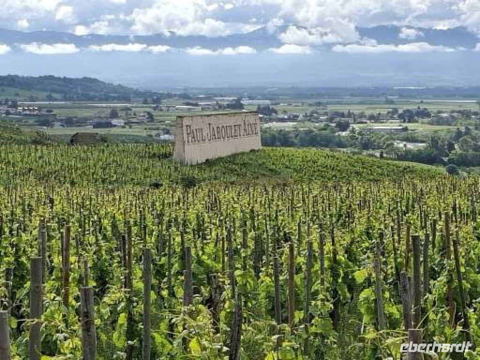 die Weinbergeigentümer setzen auf Familientradition &ndash; &copy;  (Eberhardt TRAVEL)