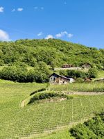 1. Tag - Weinanbau in Italien &ndash; &copy; Christin Kuschka (Eberhardt TRAVEL)