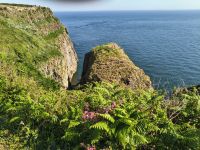 Cap Fréhel &ndash; &copy; Beate Schroedter (Eberhardt TRAVEL)