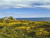 Pointe du Vanne &ndash; &copy; Beate Schroedter (Eberhardt TRAVEL)