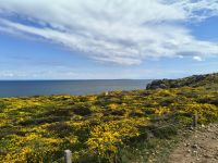 Pointe du Vanne &ndash; &copy; Beate Schroedter (Eberhardt TRAVEL)