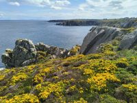 Pointe du Vanne &ndash; &copy; Beate Schroedter (Eberhardt TRAVEL)