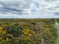 Pointe du Vanne &ndash; &copy; Beate Schroedter (Eberhardt TRAVEL)