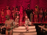 2026_05-PARIS: Cabaret Paradis Latin - Show &ndash; &copy; Dieter Braune (Eberhardt TRAVEL)
