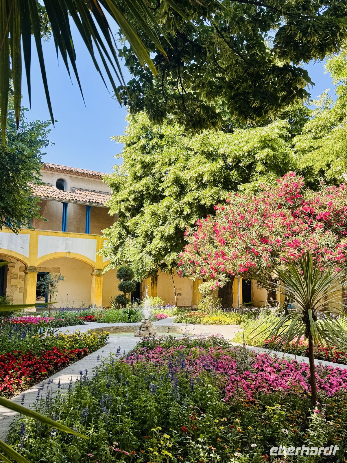 7. Tag - L'espace Van Gogh, Arles &ndash; &copy;  (Eberhardt TRAVEL)