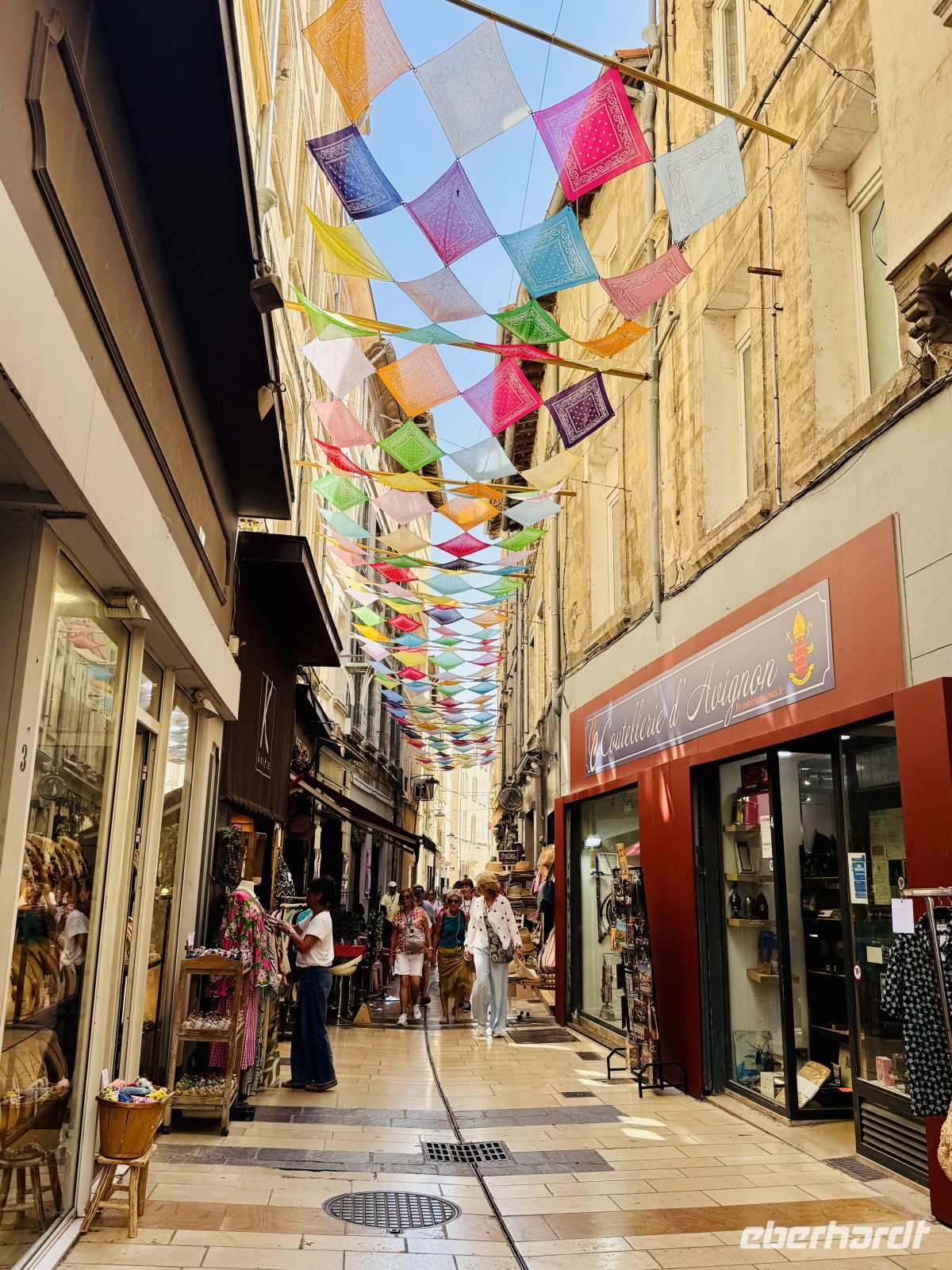 7. Tag - Avignon  &ndash; &copy;  (Eberhardt TRAVEL)