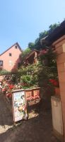 Kaysersberg &ndash; &copy; Kerstin Hugel (Eberhardt TRAVEL)