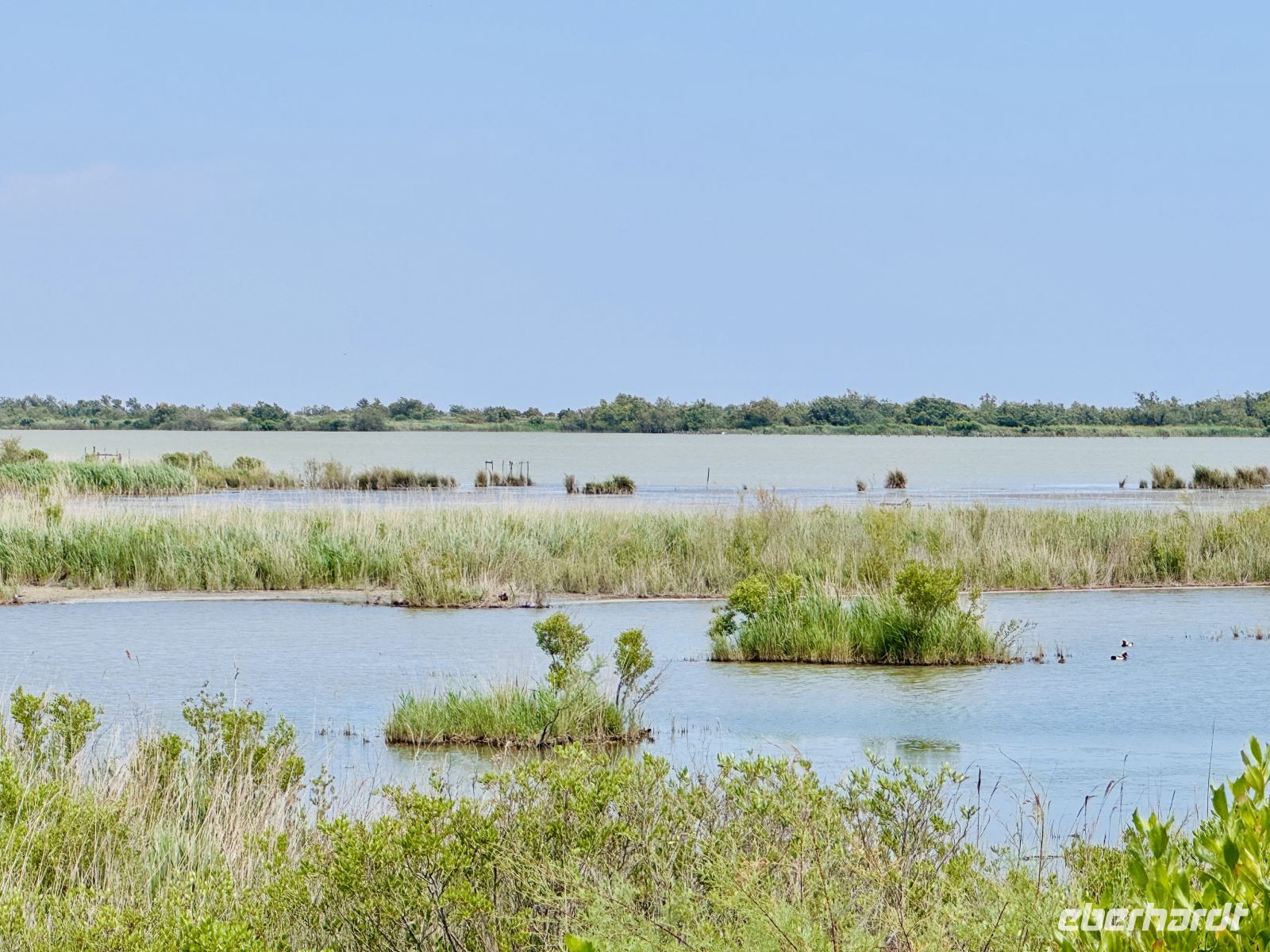 9. Tag - Camargue  &ndash; &copy;  (Eberhardt TRAVEL)