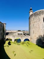 9. Tag - Aigues Mortes &ndash; &copy; Christin Kuschka (Eberhardt TRAVEL)