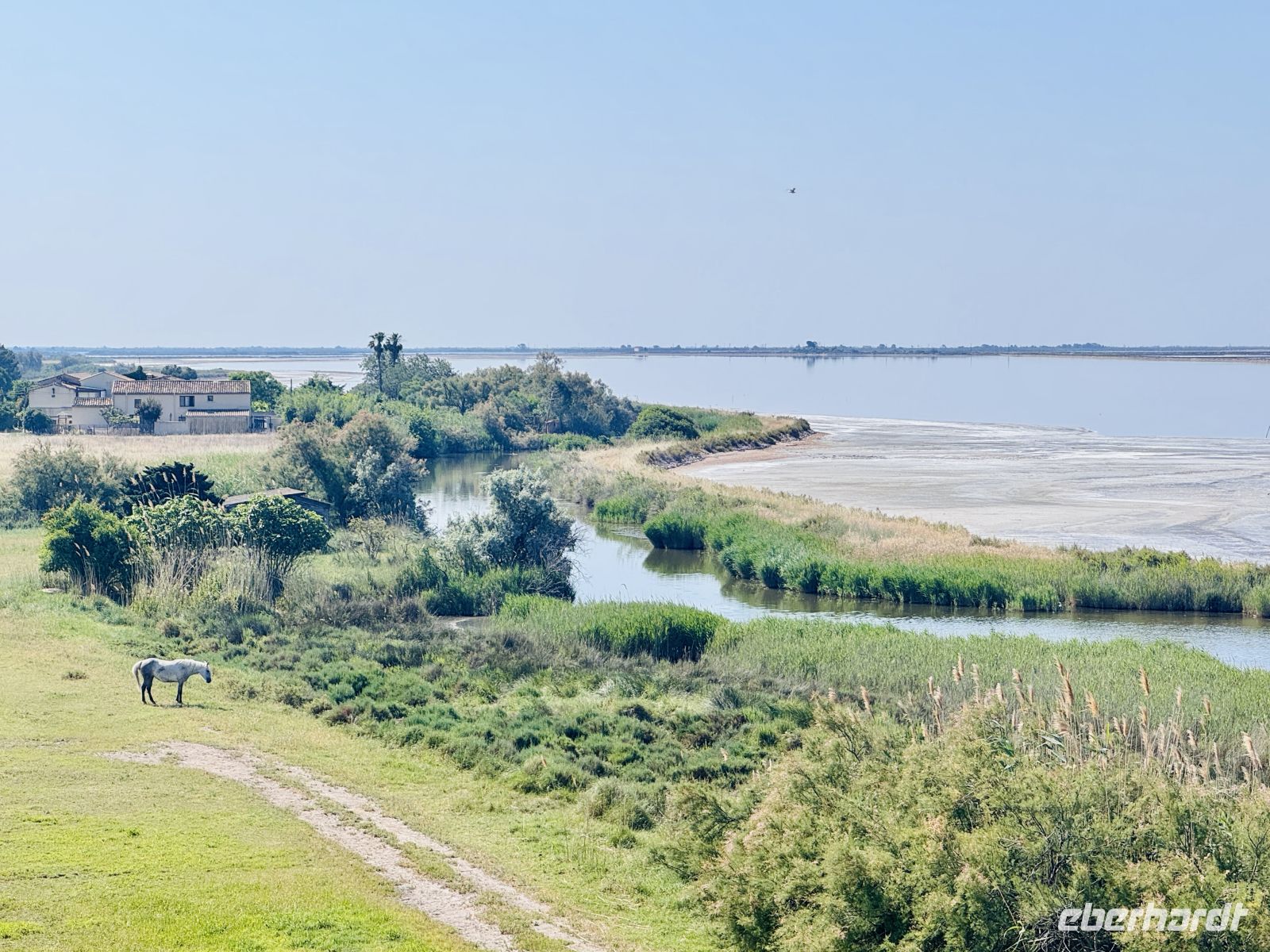 9. Tag - Camargue  &ndash; &copy;  (Eberhardt TRAVEL)