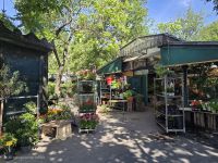 2026_05-PARIS: Île-de-la-Cité - Blumenmarkt &ndash; &copy; Dieter Braune (Eberhardt TRAVEL)