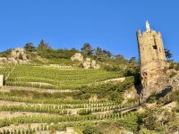 Flußkreuzfahrt Rhone -Tournon-sur-Rhône &ndash; &copy; Heike Wagner (Eberhardt TRAVEL)