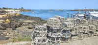 Austernkörbe auf der Chausey-Insel &ndash; &copy; Gina Egenolf (Eberhardt TRAVEL)