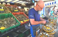 Austernstand in Cancale &ndash; &copy; Gina Egenolf (Eberhardt TRAVEL)