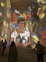 Rundreise Provence - Lichtershow mit den Bildern von Frida Kahlo  &ndash; &copy; Ekkehard Villing (Eberhardt TRAVEL)