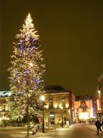 Tag 1 - 2 - Abendbummel durch Strasbourg (2)