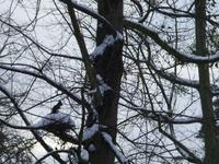 Tag 5 - Tierbeobachtungen im Parc de l'Orangerie (1)