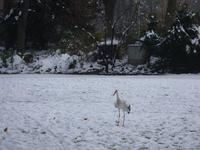 Tag 5 - Tierbeobachtungen im Parc de l'Orangerie (4)