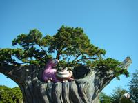 Die Grinsekatze versteckte sich im Baum