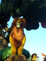 Simba in Lebensgröße