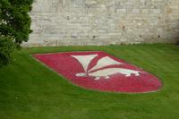 3.Tag, Vannes 