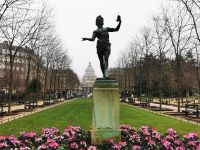 30.12.2024 Jardin de Luxembourg