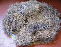 Getrockneter Lavendel