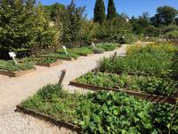 308_Kräutergarten im Kloster Valmagne