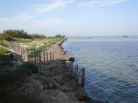 Tag Camargue Etang de Vaccares