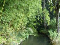 Tag 2 - 1 Monet-Gärten von Giverny (2)