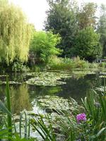 Tag 2 - 1 Monet-Gärten von Giverny (3)