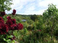 Tag 2 - 1 Monet-Gärten von Giverny (6)