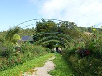 Tag 2 - 1 Monet-Gärten von Giverny (8)