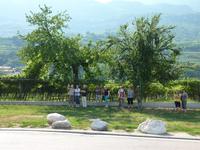 schattige Plätze sind gefragt